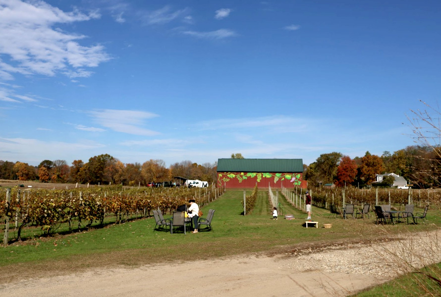 rosedale vineyard