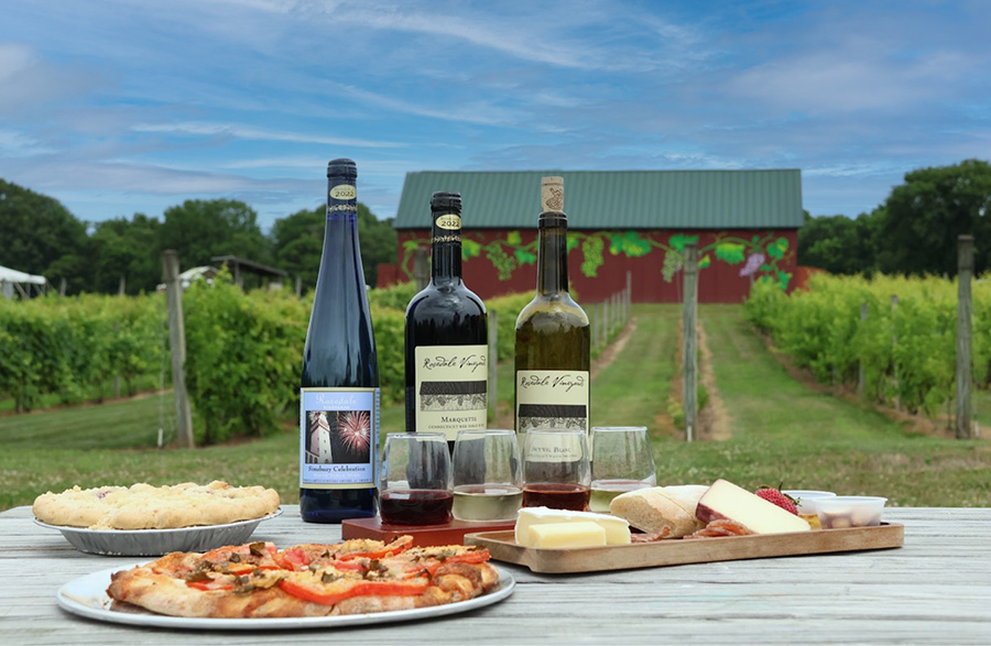 wines in vineyard